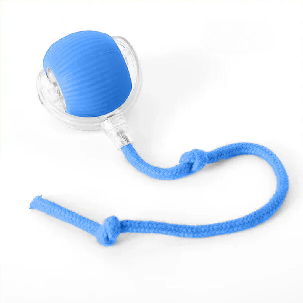 PELOTAVIVA™ - Pelota de aventura interactiva para tus perritos